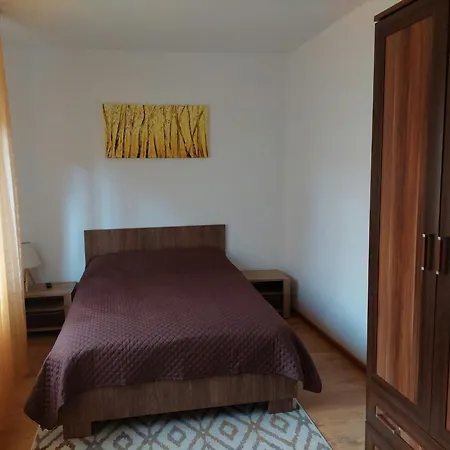 Villa Casa Tex à Buşteni Extérieur photo