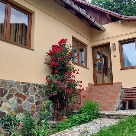Villa Casa Tex à Buşteni Extérieur photo