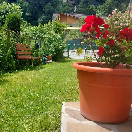 Villa Casa Tex à Buşteni Extérieur photo