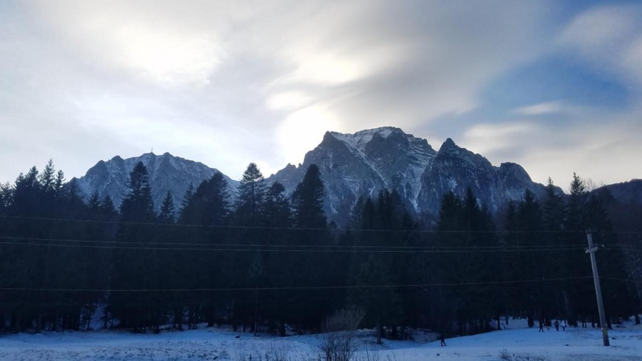 Hébergement de vacances Casa Tex *