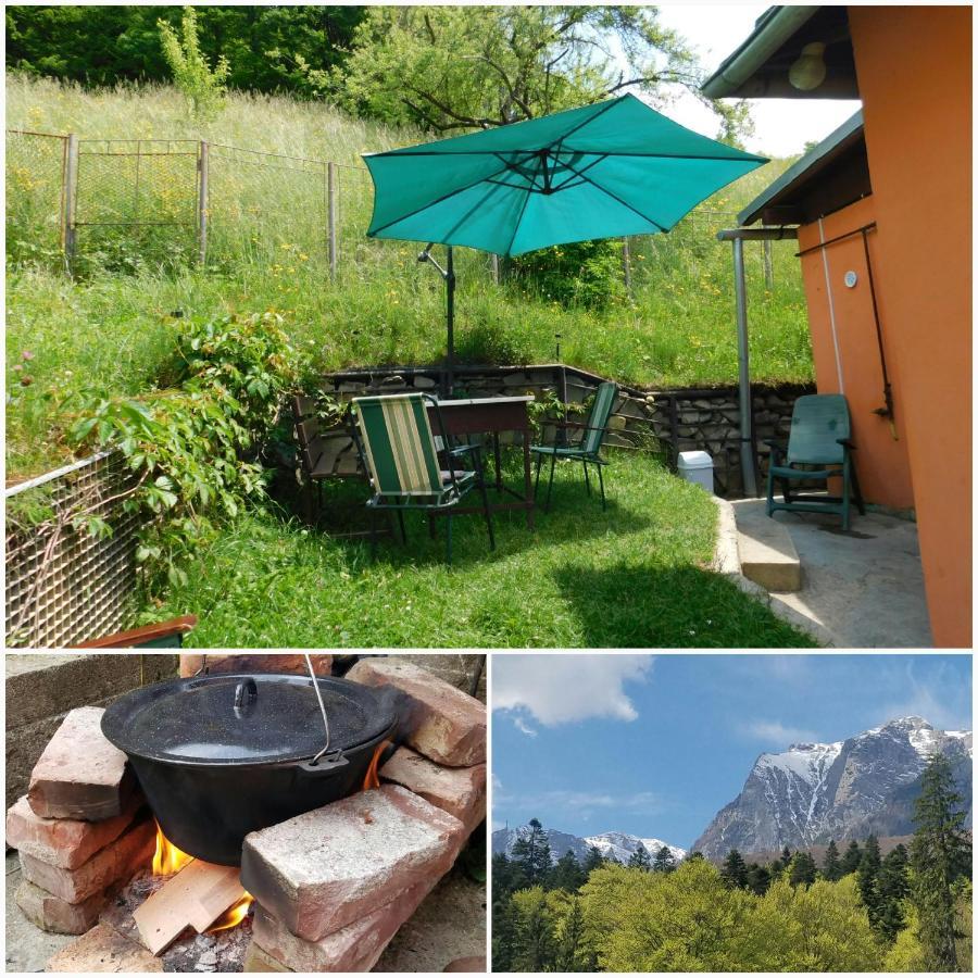 Casa Tex Hébergement de vacances