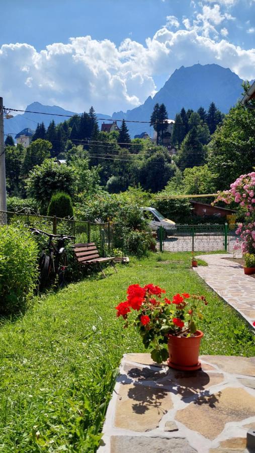 Hébergement de vacances Casa Tex Buşteni