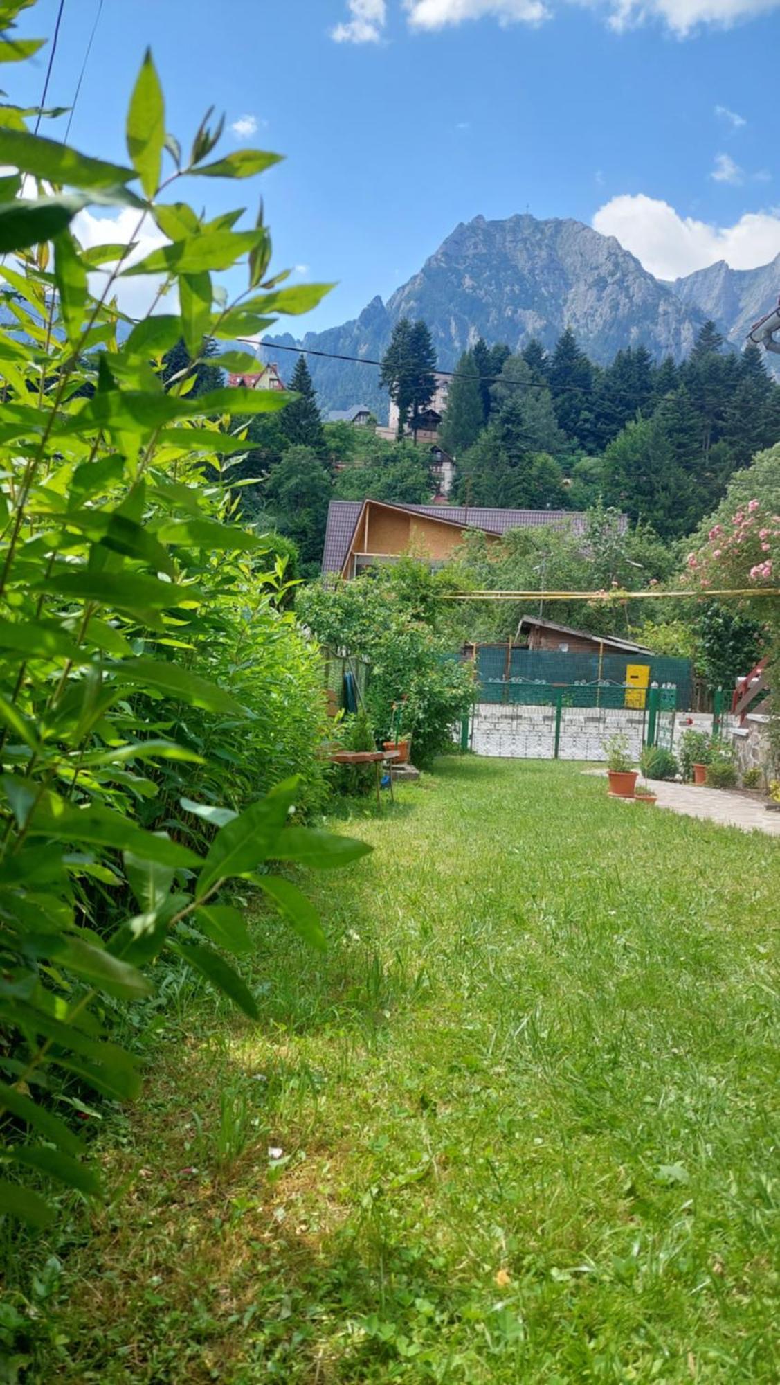 Casa Tex * Buşteni