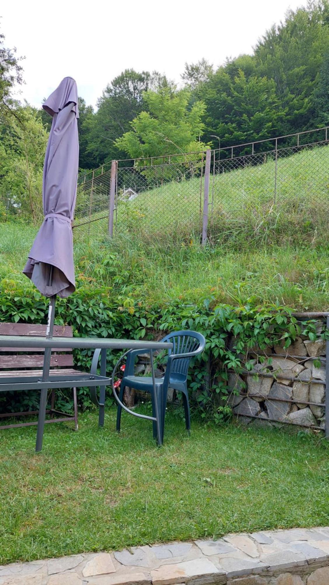 Casa Tex Hébergement de vacances Buşteni